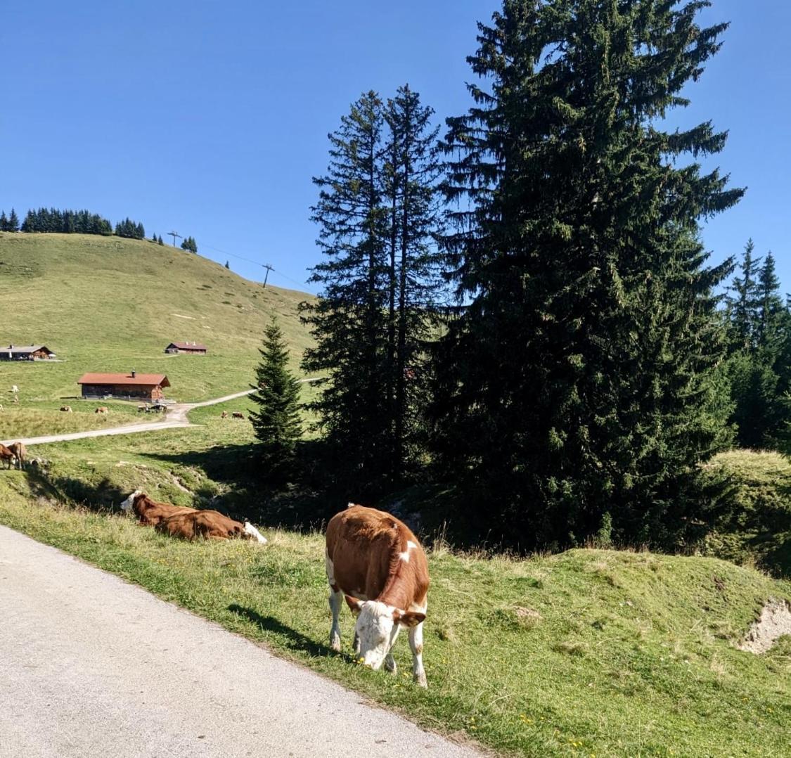 Ferien Am Sonnberg Apartment Unken Bagian luar foto